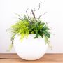 Arrangement de plantes individuel - demande du client de Jörg