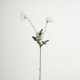 Branche en plastique Coquelicot GUNDULA, collection écologique, blanc-lilas, 70cm, Ø7-8cm