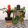 Style Scandinave