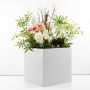 Arrangement d'orchidées personnalisé - demande de la cliente Isabella