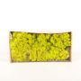 Mousse naturelle islandaise SVEINBJÖRN, vert clair, 500g