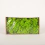 Mousse d'Islande naturelle SVEINBJÖRN, vert pomme, 500g