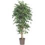 Faux Ficus Benjamina LEVANTA, troncs naturels, vert-blanc, 225cm - Made in Italy