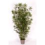 Bambou artificiel HILDEMARA, tiges de bambou naturelles, crossdoor, 175cm - Made in Italy