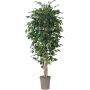 Faux Ficus Benjamina LEVANTA, troncs naturels, vert, 225cm - Made in Italy