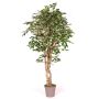 Ficus Benjamina en mousse synthétique YANEXY, troncs naturels, vert-blanc, 200cm - Made in Italy