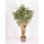 Ficus Benjamina synthétique LISENKA, tronc en bois véritable, vert-blanc, 225cm - Made in Italy