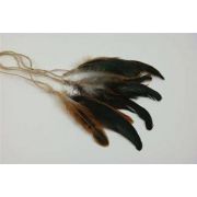Deco plumes indiennes HUBERTA, 3 pièces, marron, 15-20cm