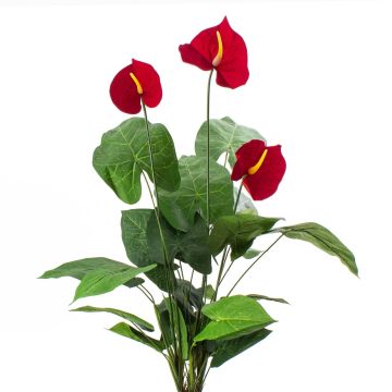 Anthurium en plastique CALVINA à planter, rouge, 80cm, 12x16cm