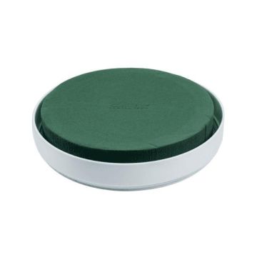 OASIS Mousse à piquer humide dans une coupe RUDON pour des compositions florales, coupe en plastique, vert-blanc, 4cm, Ø20cm