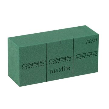 OASIS Ideal Maxlife Mousse à piquer humide Brique BOZO avec des lignes de découpe, vert, 23x11x7,5cm