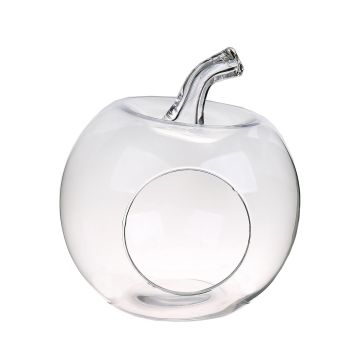 Terrarium boule TISOA en forme de pomme, transparent, 26cm, Ø24cm
