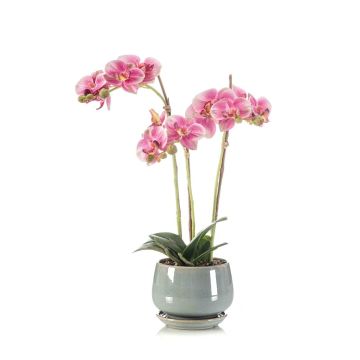 Orchidée Phalaenopsis décorative JOLANA en pot en céramique, rose, 45 cm