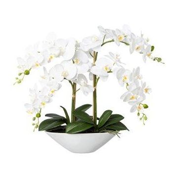 Orchidée Phalaenopsis artificielle KENTOL, coupe en céramique, racines, blanc, 55cm
