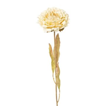 Fleur artificielle Pivoine MASNOR, aspect sec, crème, 65cm