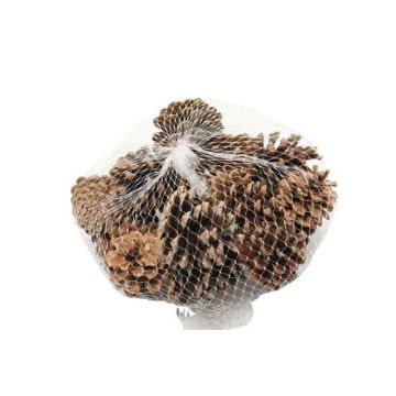 Décoration à saupoudrer Pommes de pin UMBRIELLE, naturel, 15 pièces