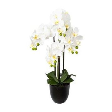 Orchidée Phalaenopsis décorative UKERNA dans un cache-pot en résine, blanc, 70cm