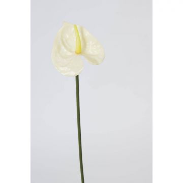 Fausse fleur d'Anthurium FELISA, crème, 50cm, 7x9cm