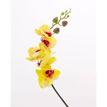 Orchidée Phalaenopsis artificielle DAJANA, jaune-rose, 90cm