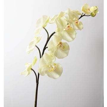 Tige d'orchidée artificielle FIDELIA, crème, 110cm