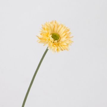 Fleur artificielle Gerbera CELINA, abricot, 45cm, Ø7cm