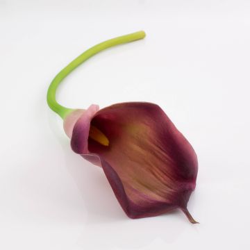 Fleur artificielle Calla TERESA, violet, 70cm, 10x18cm