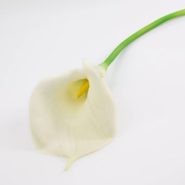 Fleur artificielle Calla TERESA, crème, 70cm, 10x18cm
