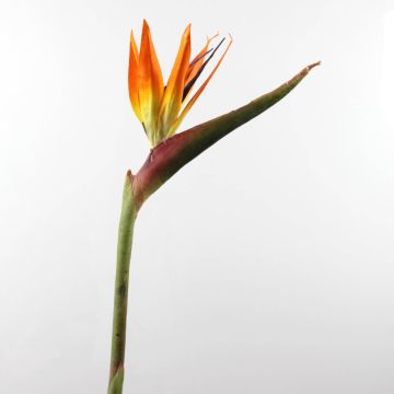 Fausse Fleur oiseau de paradis CHAYA, orange-violet, 95cm, 17x24cm