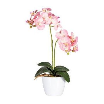 Orchidée Phalaenopsis artificielle FRUXO, piquet, racines, rose, 50cm