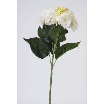 Fleur artificielle Hortensia ANGELINA, crème-blanc, 70cm, Ø23cm