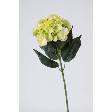 Fleur artificielle Hortensia ANGELINA, crème-vert, 70cm, Ø23cm