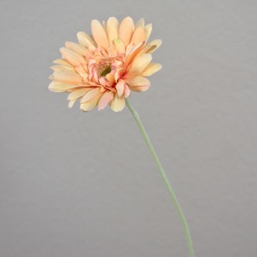 Gerbera artificiel VIRGINIA, crème-rose, 55cm, Ø11cm