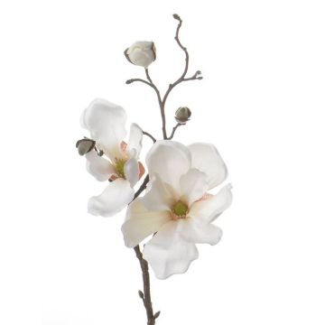 Fleur artificielle Magnolia MALBINE, crème, 50cm, Ø6-10cm