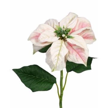 Poinsettia décoratif MARRIT, blanc-rose, 70cm, Ø20cm