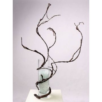 Branche décorative de chêne liège FINDUS, brun, 110cm