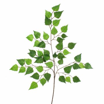 Branche de bouleau décorative NIKOLAJ, vert, 70cm