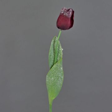 Tulipe artificielle PILVI, givrée, rouge foncé, 65cm, Ø5cm