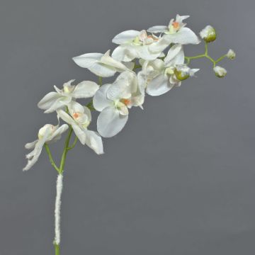 Orchidée Phalaenopsis artificielle NALANI, neige, blanc, 80cm