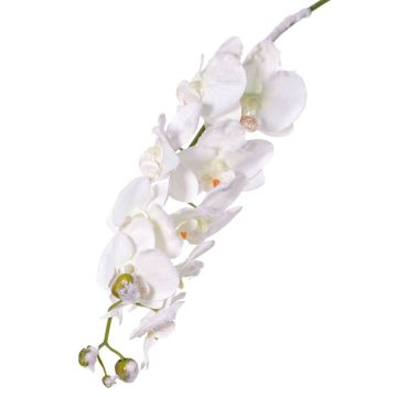 Orchidée Phalaenopsis artificielle NALANI, neige, blanc, 80cm