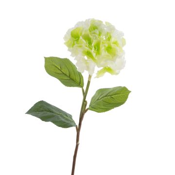Hortensia artificiel CHANTAL, vert, 75cm, Ø18cm