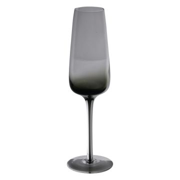Verre à champagne LUCIEL, gris-transparent, 23cm, Ø7cm