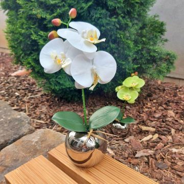 Fleur décorative Orchidée Phalaenopsis NAPIRAI avec un cache-pot, blanc, 30cm