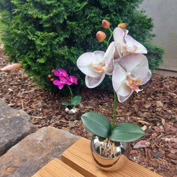 Fleur décorative Orchidée Phalaenopsis NAPIRAI avec un cache-pot, blanc-lilas, 30cm