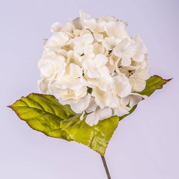 Hortensia artificiel MONA, crème, 70cm, Ø16cm