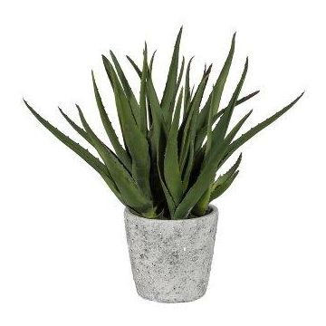 Plante succulente artificielle Aloe Vera BRIZE en pot en ciment, vert, 45cm