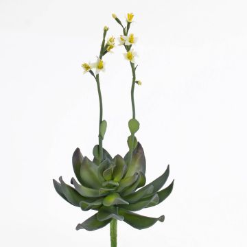 Succulente artificielle Aeonium CHARLIZE, fleuri, piquet, jaune, 30cm