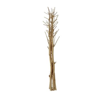 Branches de saule séchées HASINA, dorées, 160-200cm