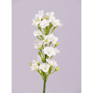 Fleur de Phlox artificielle ALSA, blanc, 35cm, Ø5cm