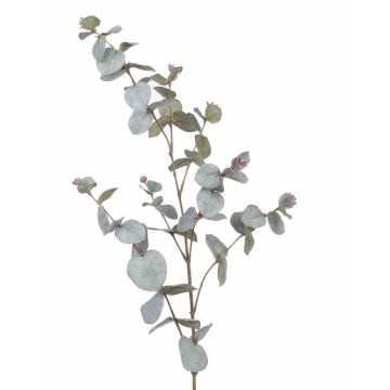 Branche décorative d'eucalyptus ILMO, gris-vert, 85cm