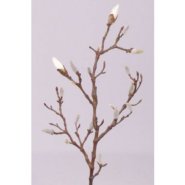 Branche décorative de magnolia ASANI, blanc, 70cm